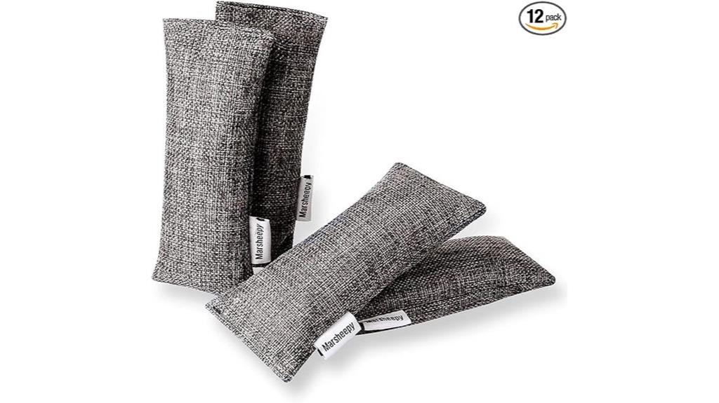 charcoal shoe deodorizer pack