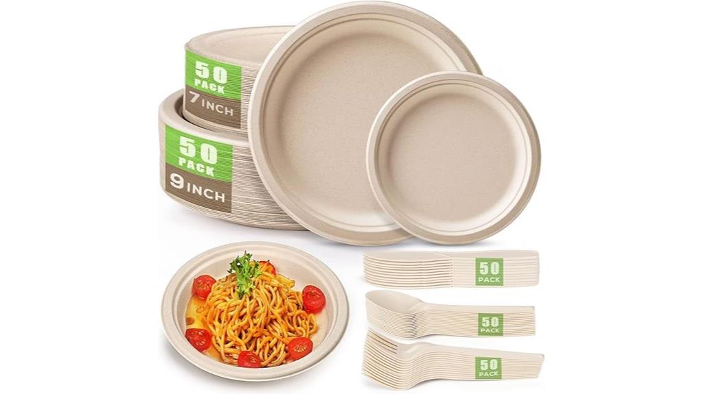 disposable paper plate set