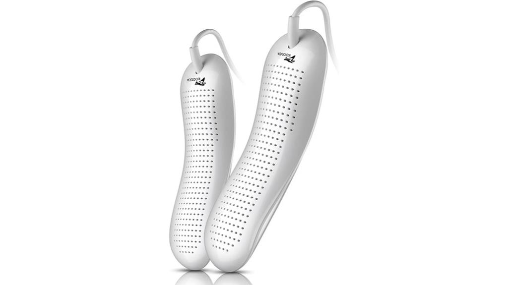 dry shoes remove odor
