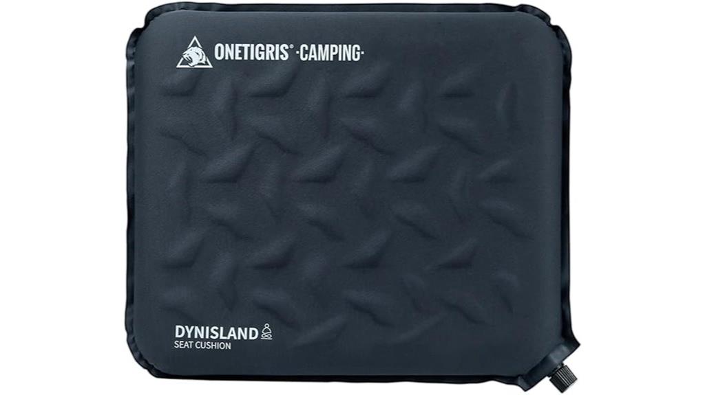 inflatable seat cushion