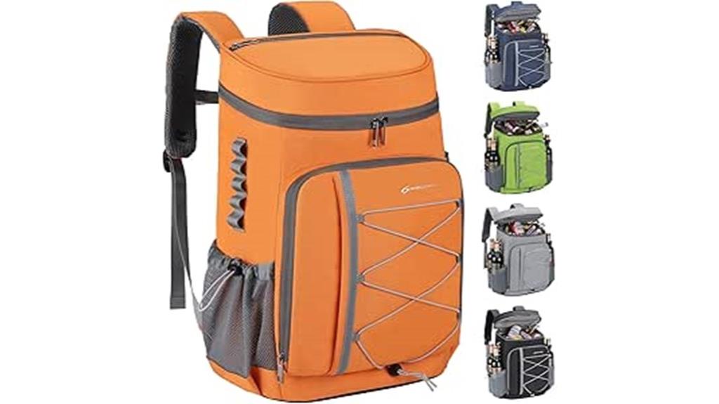 insulated cooler lunch bag