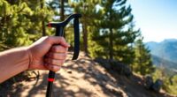 top collapsible hiking poles