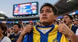 fan loyalty during trades