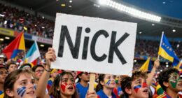 fan nicknames as cultural language