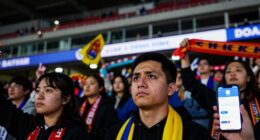 fan tokens lack trust