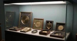 protect collectibles from damage