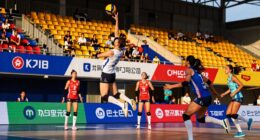women s sports sponsorship growth