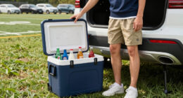 10 Best Top Rated Electric Cooler For Football Tailgates In 2026