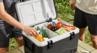 9 Best Dual Zone Electric Cooler for Fan Travel in 2026