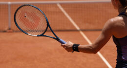 Sinner Vs Zverev