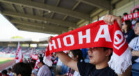 Hiroshima Toyo Carp Wins